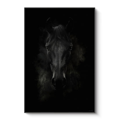 Framed canvas print of a dark horse portrait emerging from deep shadow with intense gaze — dramatic moody equine wall art in a floating frame