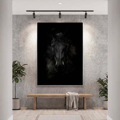 Horse Framed Canvas Wall Art – Dark Majesty