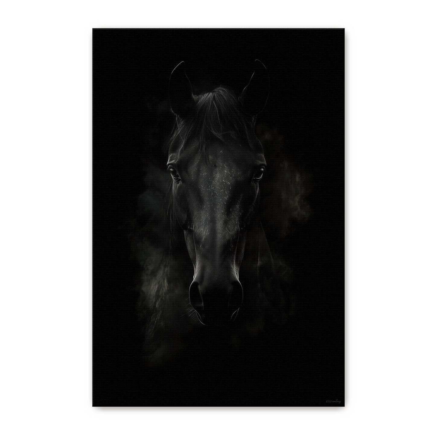 Rolled canvas print of a dark horse portrait emerging from deep shadow with intense gaze — dramatic moody equine wall art in black