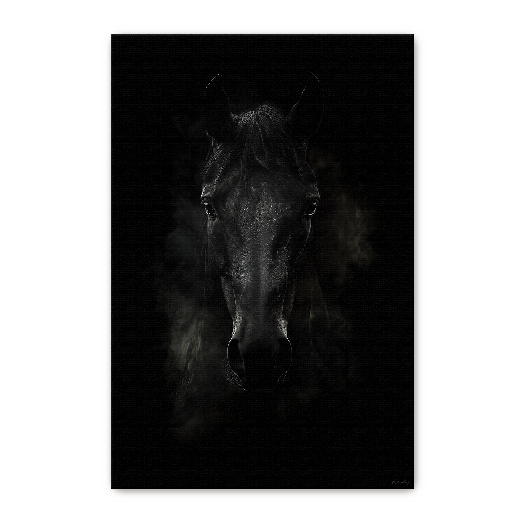 Rolled canvas print of a dark horse portrait emerging from deep shadow with intense gaze — dramatic moody equine wall art in black