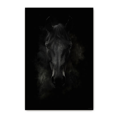 Rolled canvas print of a dark horse portrait emerging from deep shadow with intense gaze — dramatic moody equine wall art in black