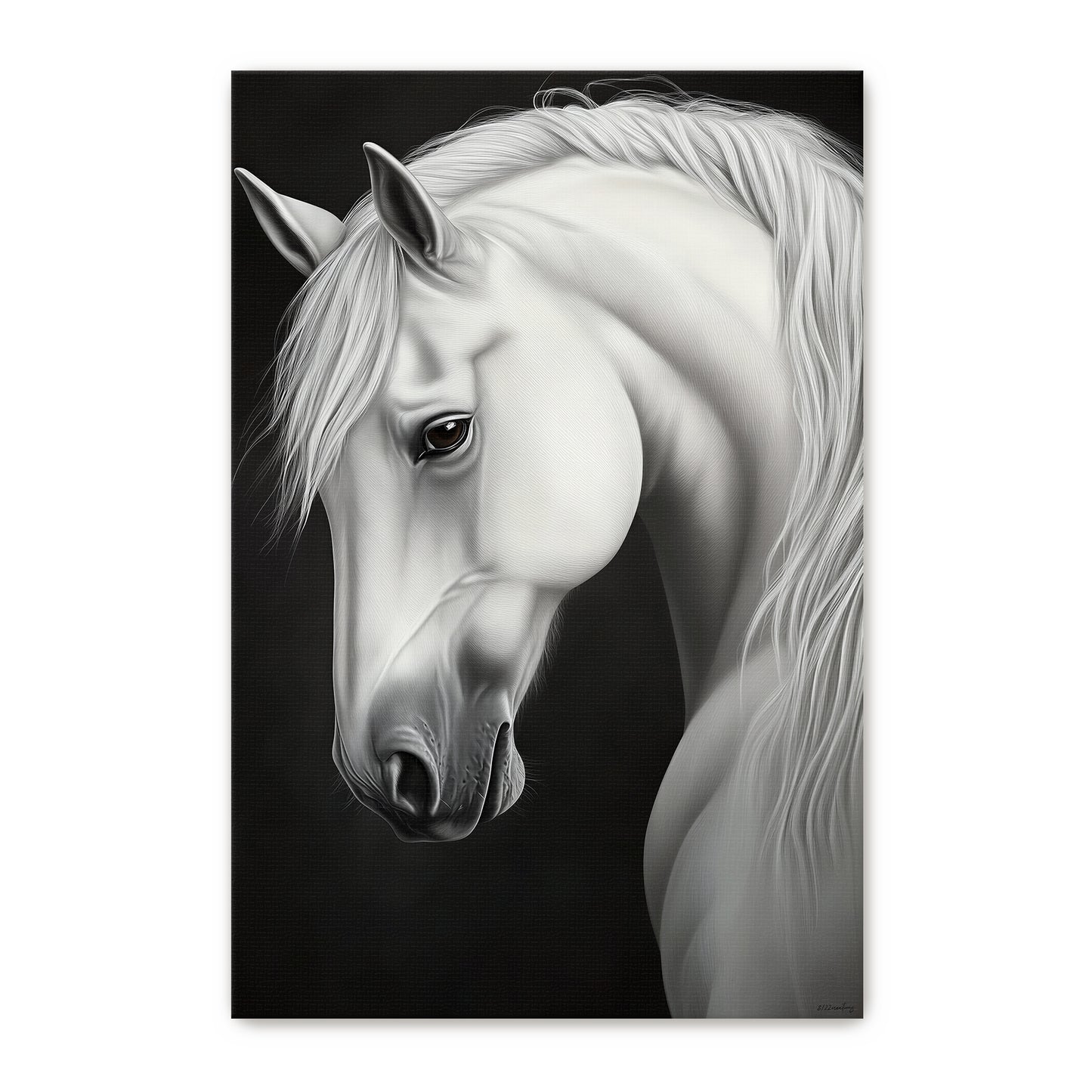 Rolled canvas print of a luminous white horse portrait with flowing mane against a deep black background — dramatic black and white equine wall art