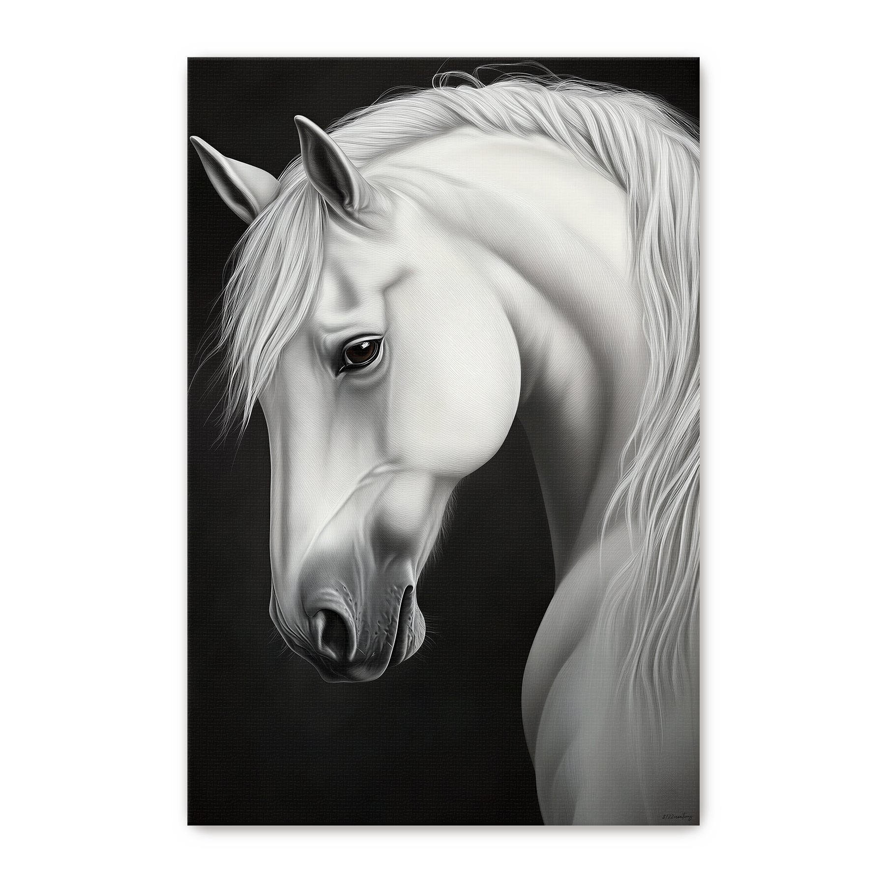 Rolled canvas print of a luminous white horse portrait with flowing mane against a deep black background — dramatic black and white equine wall art